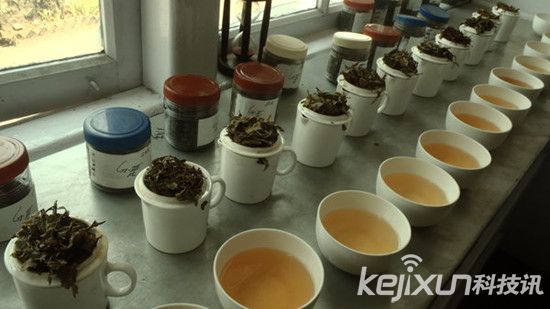印度茶叶电商Teabox融资600万美金扩张海外市场