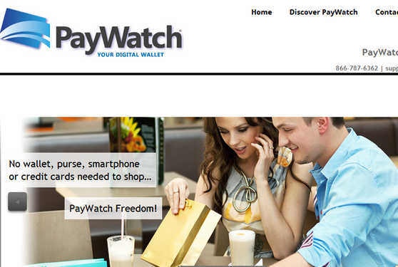 阿里巴巴 支付表 paywatch.com 域名投资