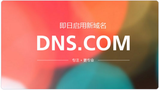 DNS服务 免费DNS服务 阿里公共DNS DNSPod dns怎么设置