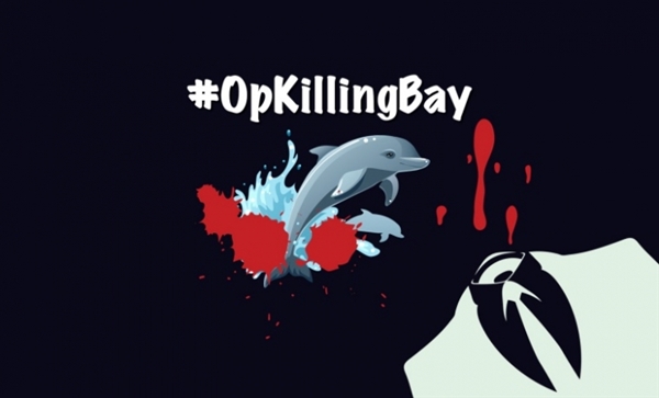 抗议捕杀海豚 黑客怒破日本机场