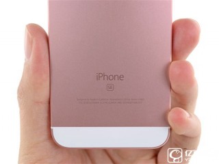 iPhone SE命运如此悲催：被苹果坑惨