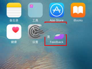 苹果Feedback是什么？有什么用？怎么删除？