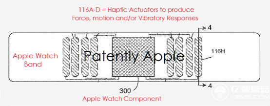 苹果再发力 可能要在Apple Watch表带上加入震动马达