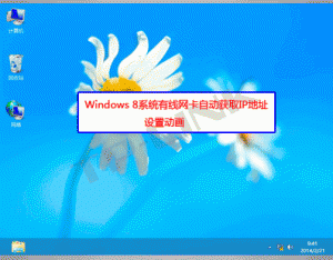 Windows 8系统有线网卡自动获取IP地址