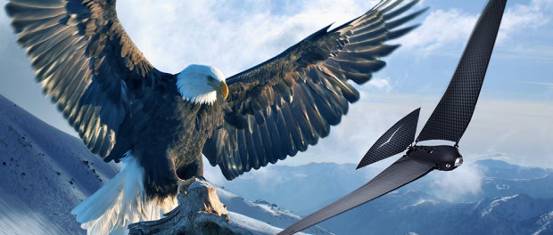 Bionic Bird无人机能像鸟儿一样飞翔：重量仅有9克