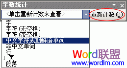 Word2003怎么样统计字数、行数和符号