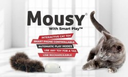 Mousy智能逗猫器：还不快给喵大人奉上这个智能逗猫器