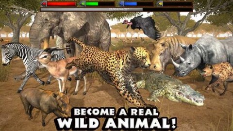 最好玩的模拟动物游戏