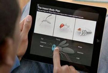 苹果iPad虚拟绘图专利 明年3月发布