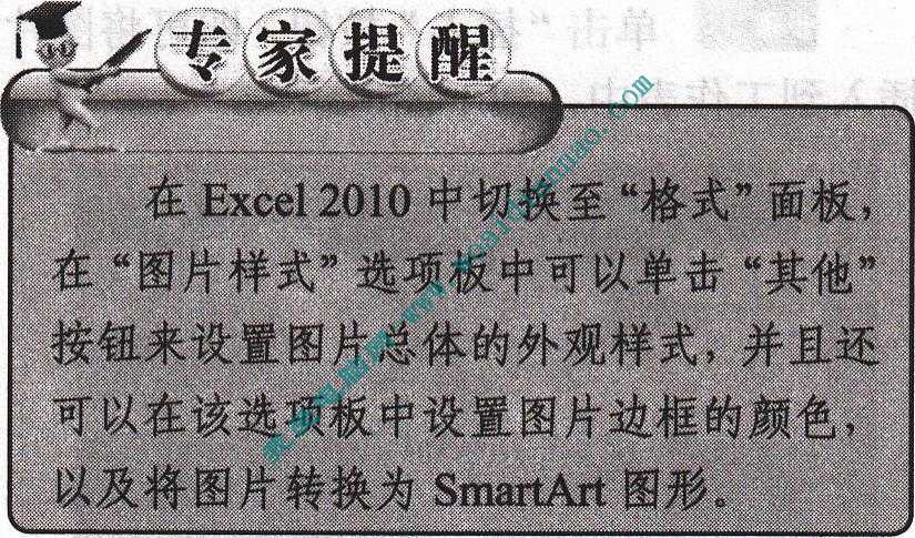 在Excel2010中设置图片属性