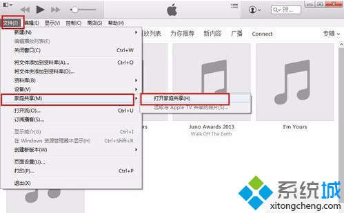 电脑中如何通过iTunes设置苹果设备家庭共享功能3