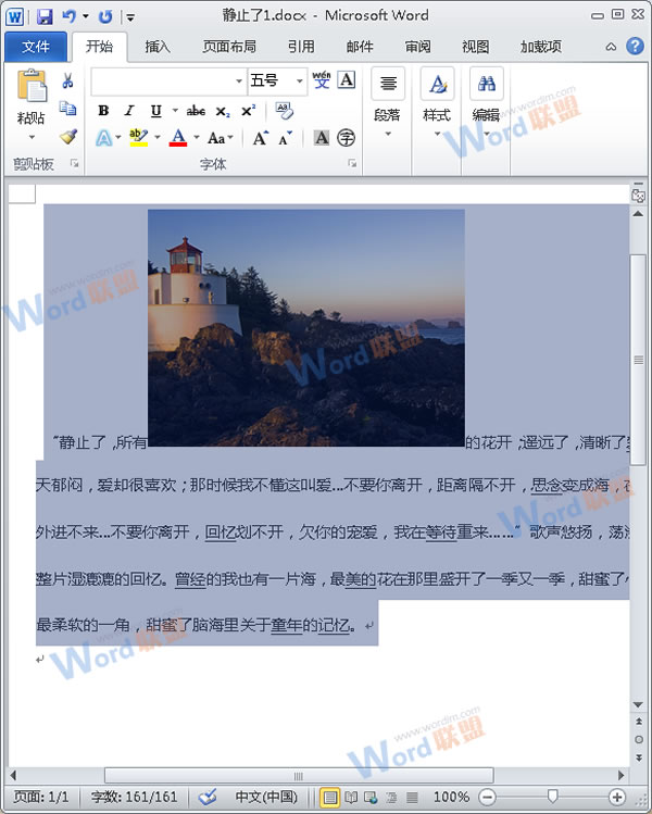 怎么把Word的内容以图片格式插入到Excel2010中？