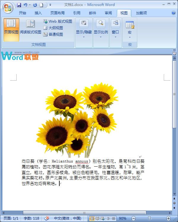 在Word2007中如何让文字紧挨图片