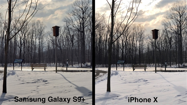 三星S9+/iPhone X拍照对比：谁才是手机拍照之王？