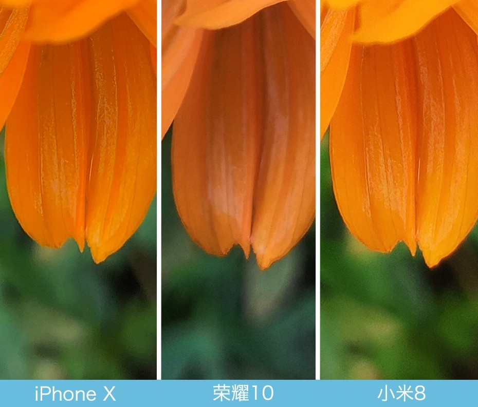 iPhone X、荣耀10、小米8拍照对比评测 苹果秒杀一切？