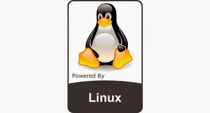 Linux Kernel 4.19首个候选版发布：又是一个重大版本更新