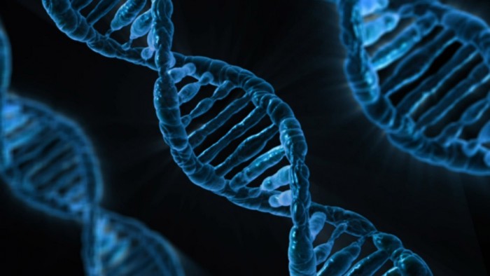 超越基因的遗传：你遗传给后代的也许不只是基因信息
