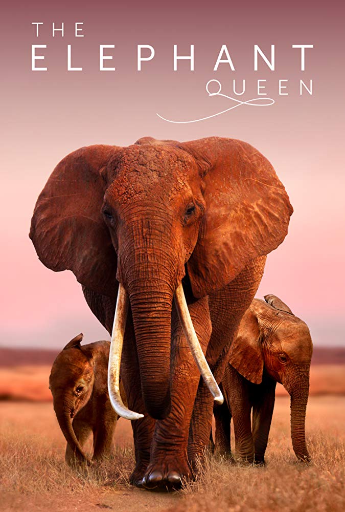 苹果收购了《大象女王》和《狼行者》两部电影全球版权