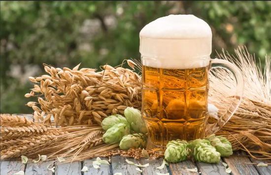 酿造啤酒的原料大麦和啤酒花。图片来源：图虫创意