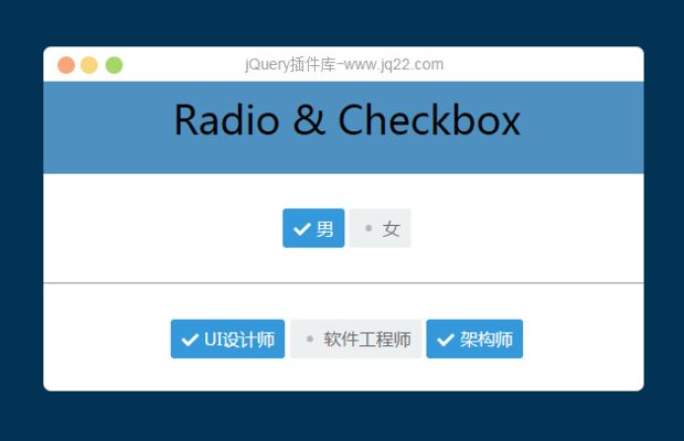 网页设计实现复选框(checkbox)和单选框(radio)对齐的方法