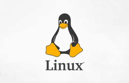 利用Bash脚本监控Linux服务器的内存使用情况的相关资料