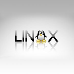 DLINUX系统