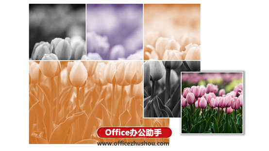 PowerPoint/PPT将小图片布置成漂亮的背景墙的方法