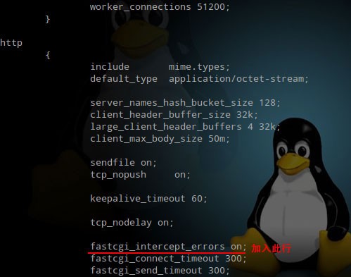Nginx服务器自定义404错误页面并返回404状态码
