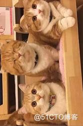 详解R语言图像处理EBImage包