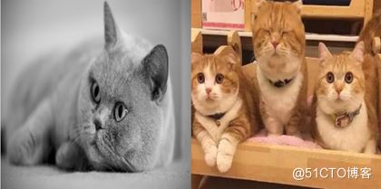 详解R语言图像处理EBImage包