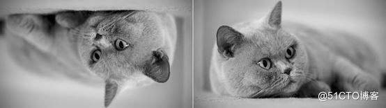 详解R语言图像处理EBImage包