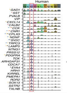 R语言绘制Facet violin plot小提琴刻面图实现示例