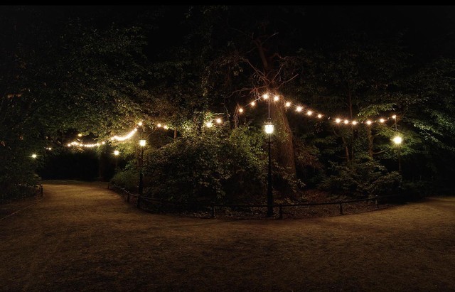 相机的对焦功能究竟怎么用 