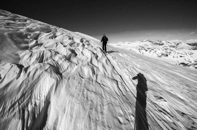 相机的对焦功能究竟怎么用 