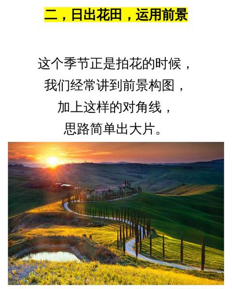 手机拍照小技巧：10个逆光风景拍摄技巧