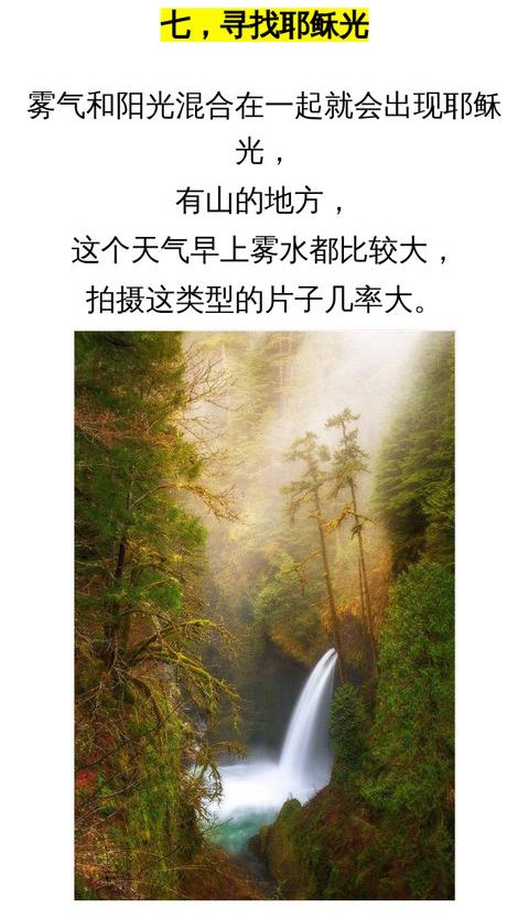 手机拍照小技巧：10个逆光风景拍摄技巧