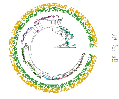 R包ggtreeExtra绘制进化树