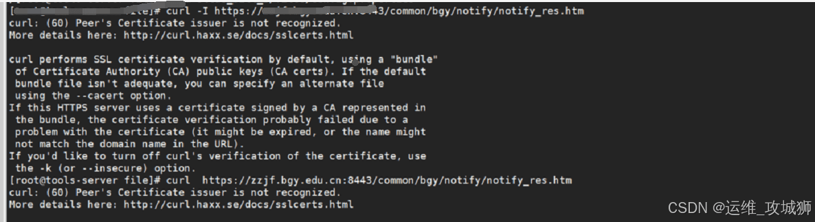 CentOS 7中Tomcat报错访问域名超时的解决方法